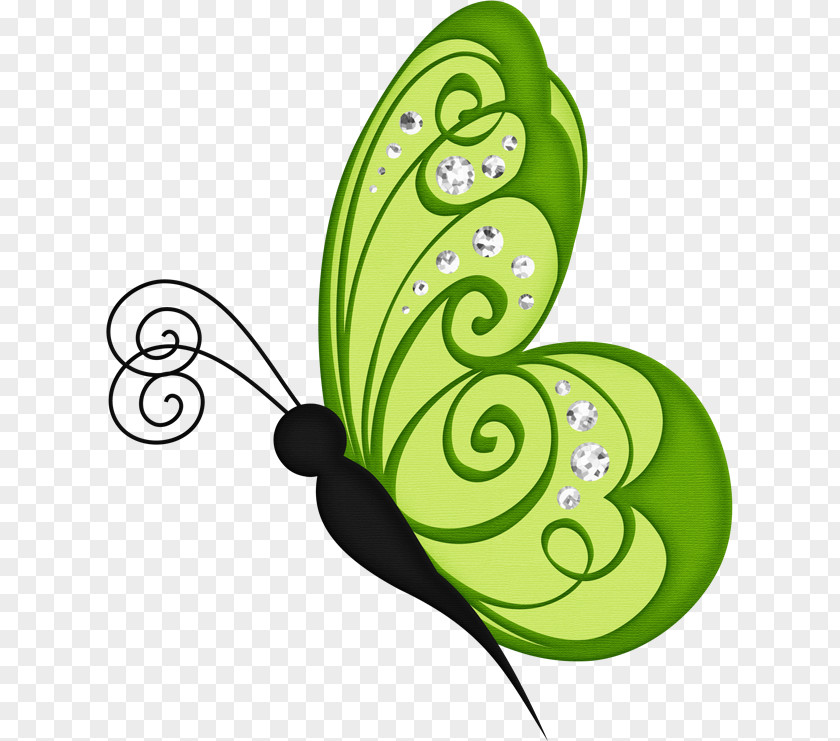 Butterfly Green Clip Art PNG