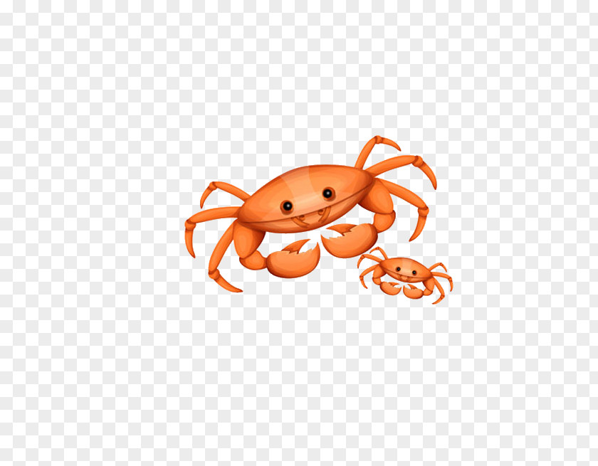 Cartoon Crab Coloring Book Clip Art PNG