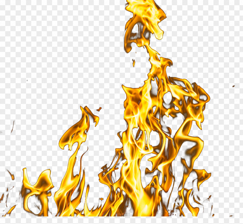 Flame Light Fire Computer File PNG