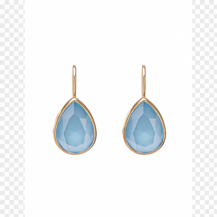 Gemstone Earring PNG