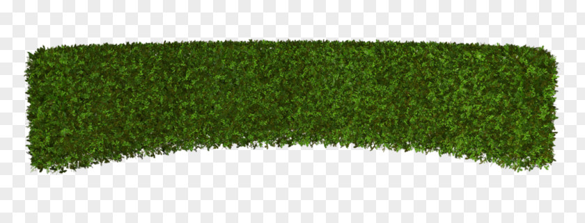 Green Grass Hedge Lawn Artificial Turf Rectangle PNG