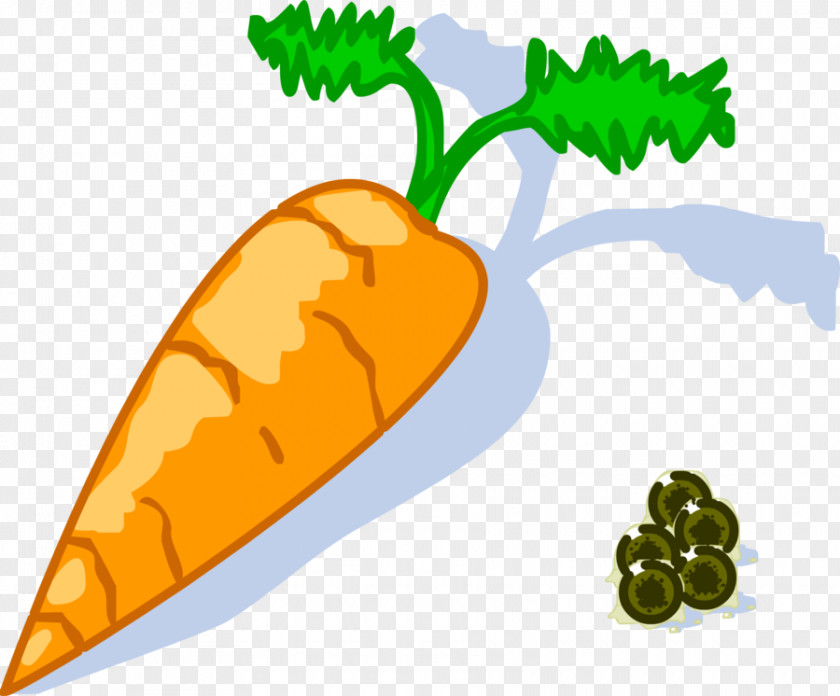 Minecraft Fruit Carrot Video Games PNG