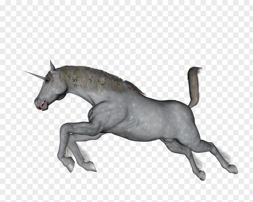 Unicorn Horn Stallion Mustang Pony PNG
