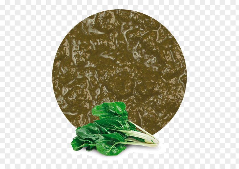 Vegetable Food Chard Purée Spinach PNG