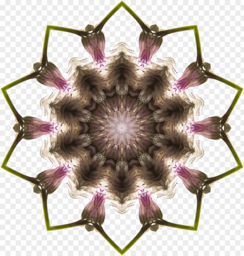 Wildflower Heading Box Kaleidoscope Clip Art PNG