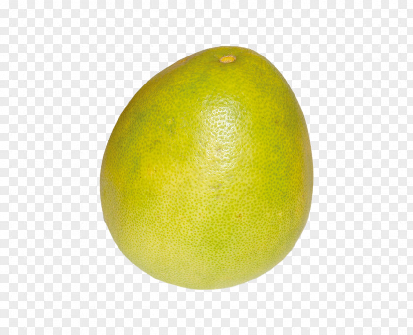 Grapefruit Key Lime Sweet Lemon Citron PNG