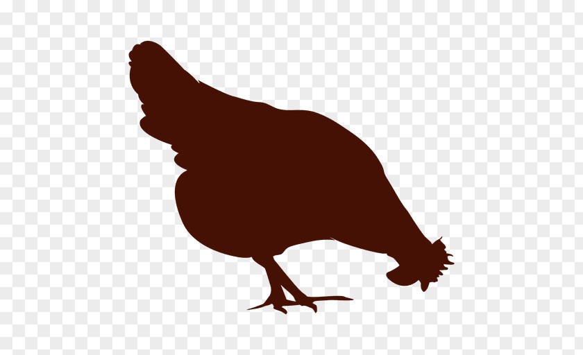Hen Chicken Broiler Turkey Poultry Barnevelder Brahma PNG
