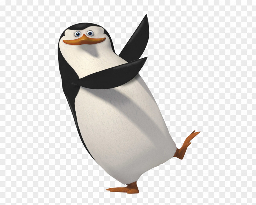 Madagascar Penguins Penguin Clip Art PNG