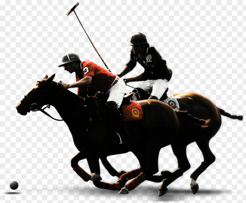 Polo Horse Equestrian Bridle Rein PNG