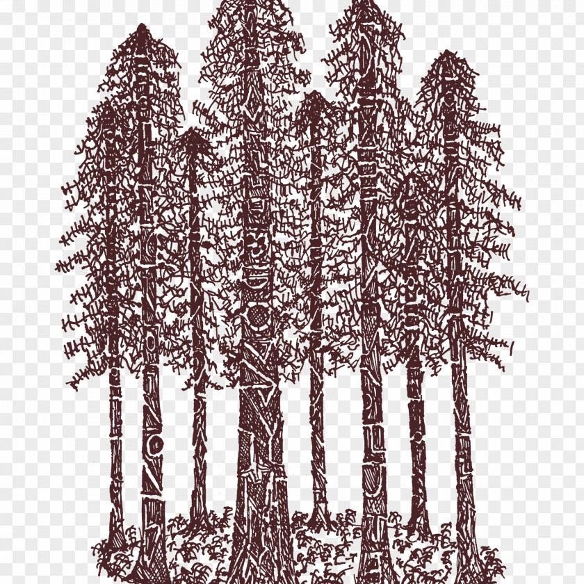 Redwood Tree National And State Parks T-shirt Coast Spruce Cathedral Ring PNG