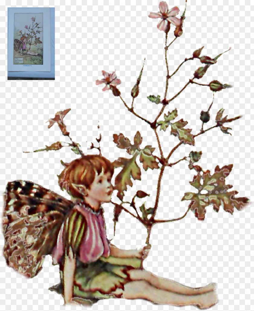 The Fairy Scatters Flowers Book Of Flower Fairies Wayside Cottingley PNG
