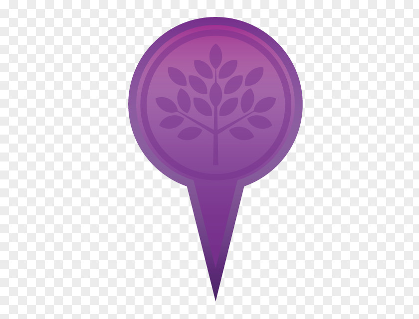 Design Petal PNG