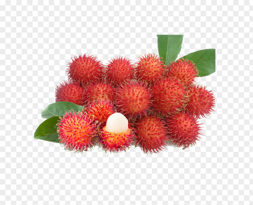 Dragon Fruit Rambutan Tropical Food Pineapple PNG