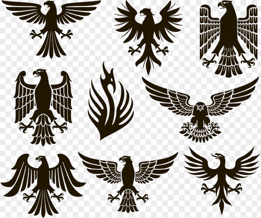 Eagle Illustration Heraldry Stock Photography PNG