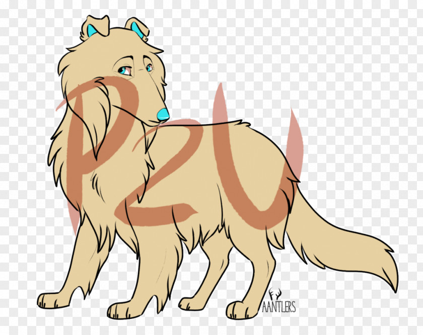 Rough Collie Cat Lion Paw Canidae PNG