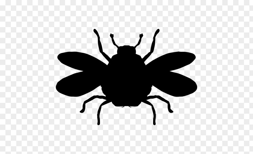 Bee European Dark Insect Bumblebee Clip Art PNG