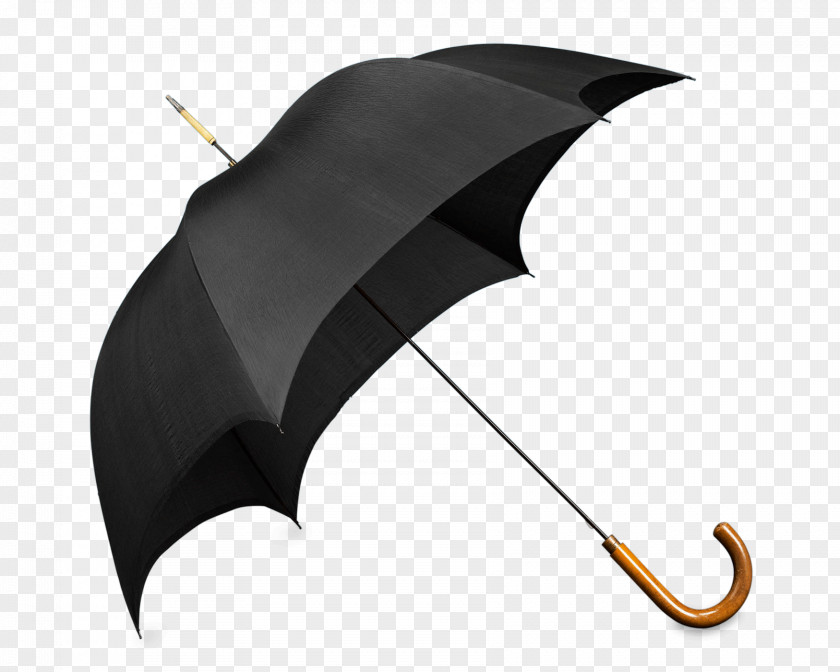 Cane Thicket The Umbrellas Handle Walking Stick Assistive PNG