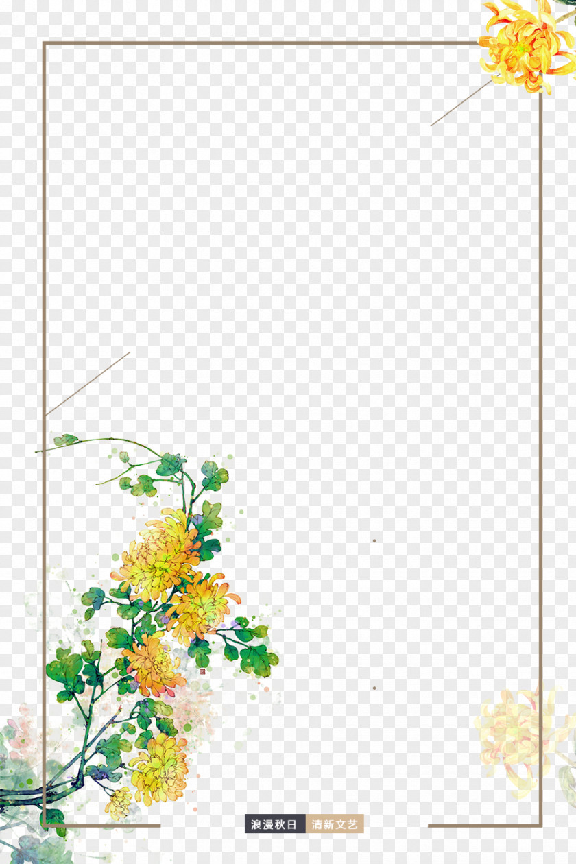 Chrysanthemum Borders Flower Icon PNG