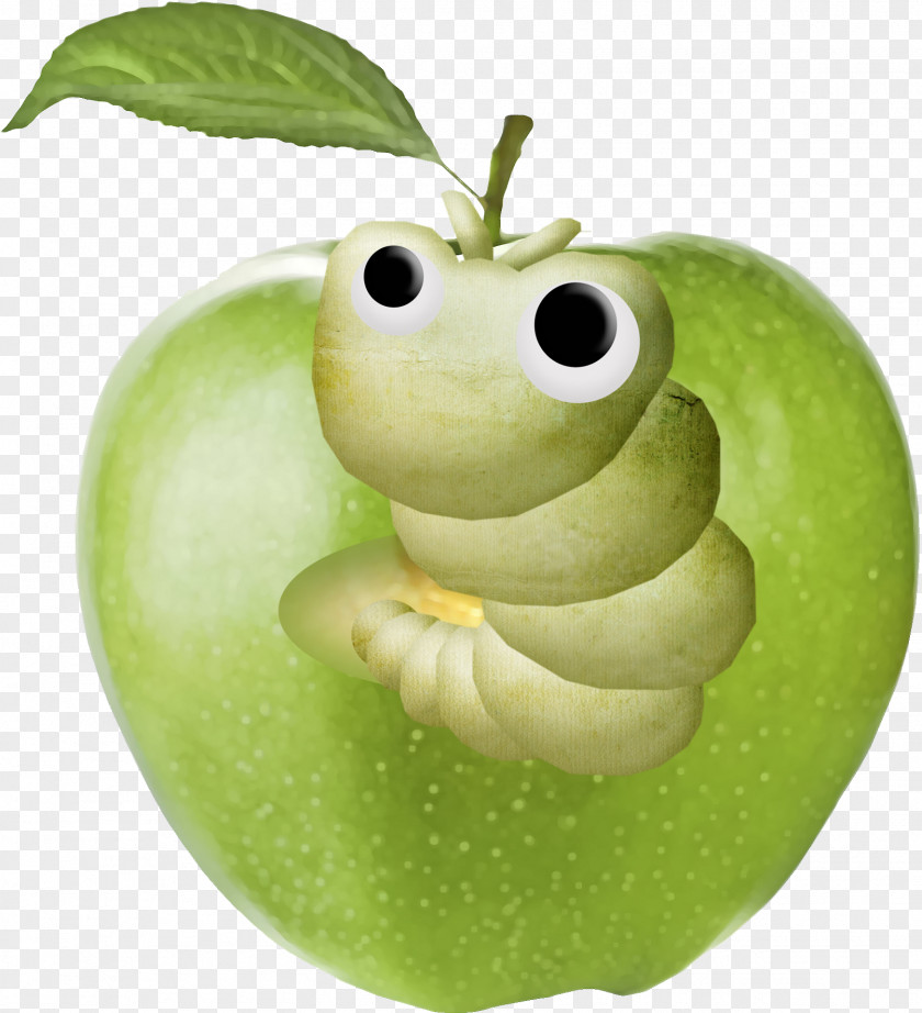 Green Apple Kiwifruit Clip Art PNG