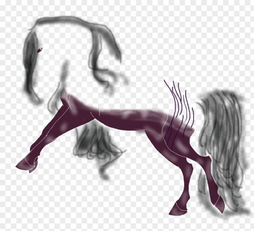 Mustang Drawing Legendary Creature Freikörperkultur PNG
