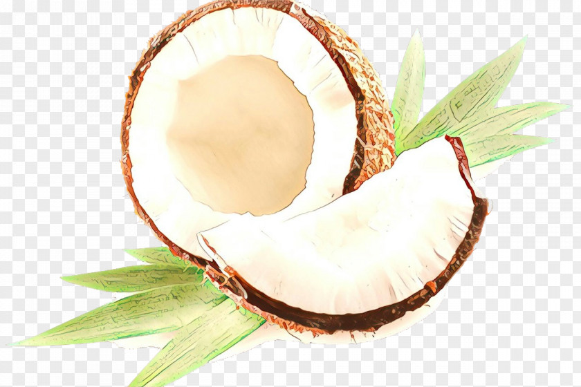 Plant Coconut Water Oil Background PNG