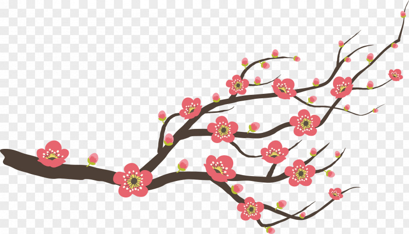 Plum Flower PNG