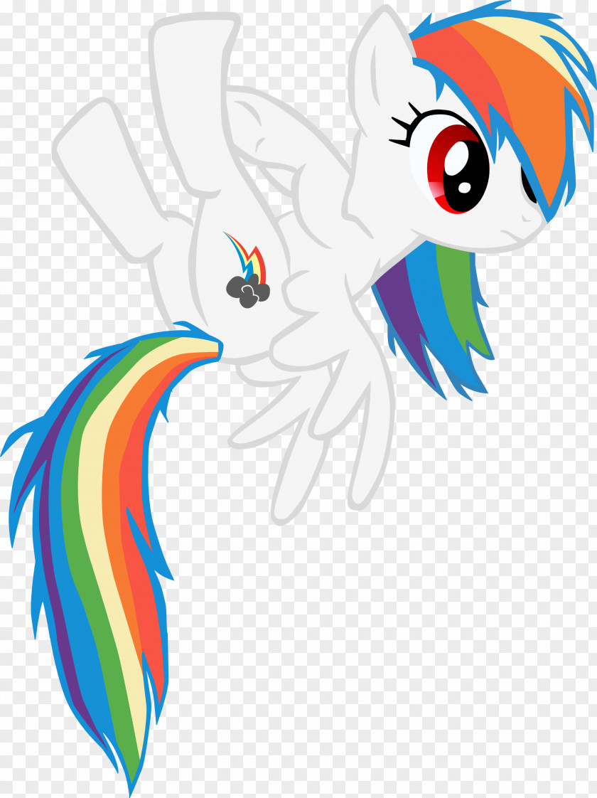 Rainbow Dash Pinkie Pie Twilight Sparkle Applejack Rarity PNG