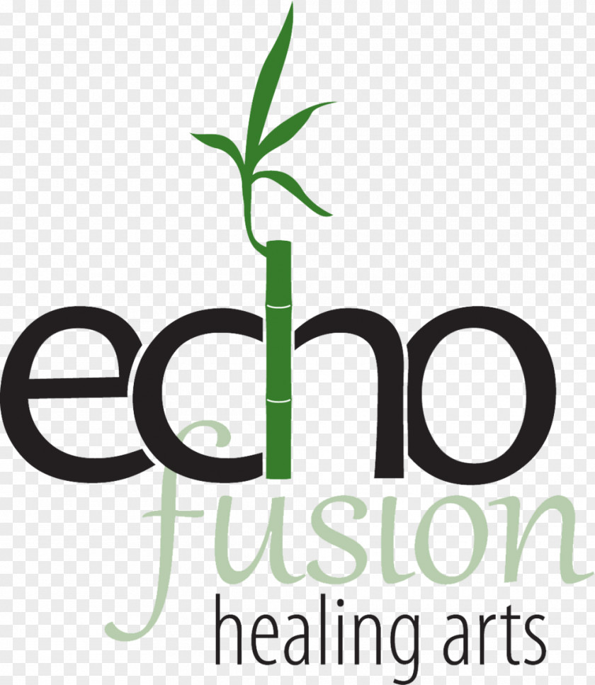 Reiki Hands Echo Fusion Healing Arts Logo Massage Therapy PNG