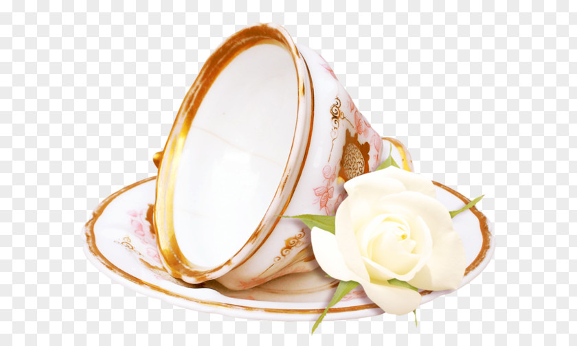 Teacup Dish Network PNG