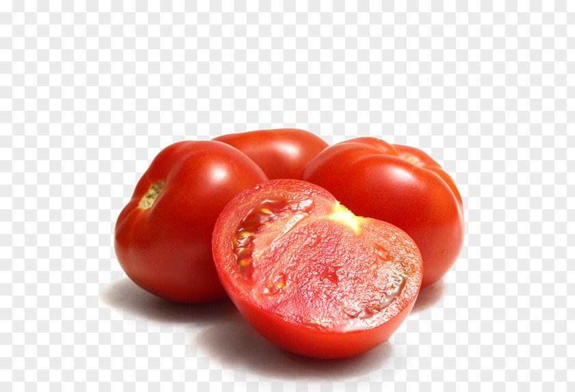 Tomato Plum Bush Sauce Vegetable PNG
