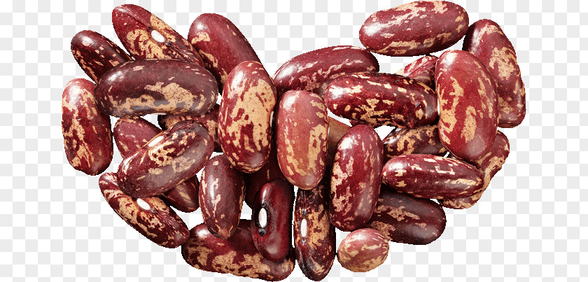 Beans Vejitble Common Bean Runner Sujuk Adobo PNG