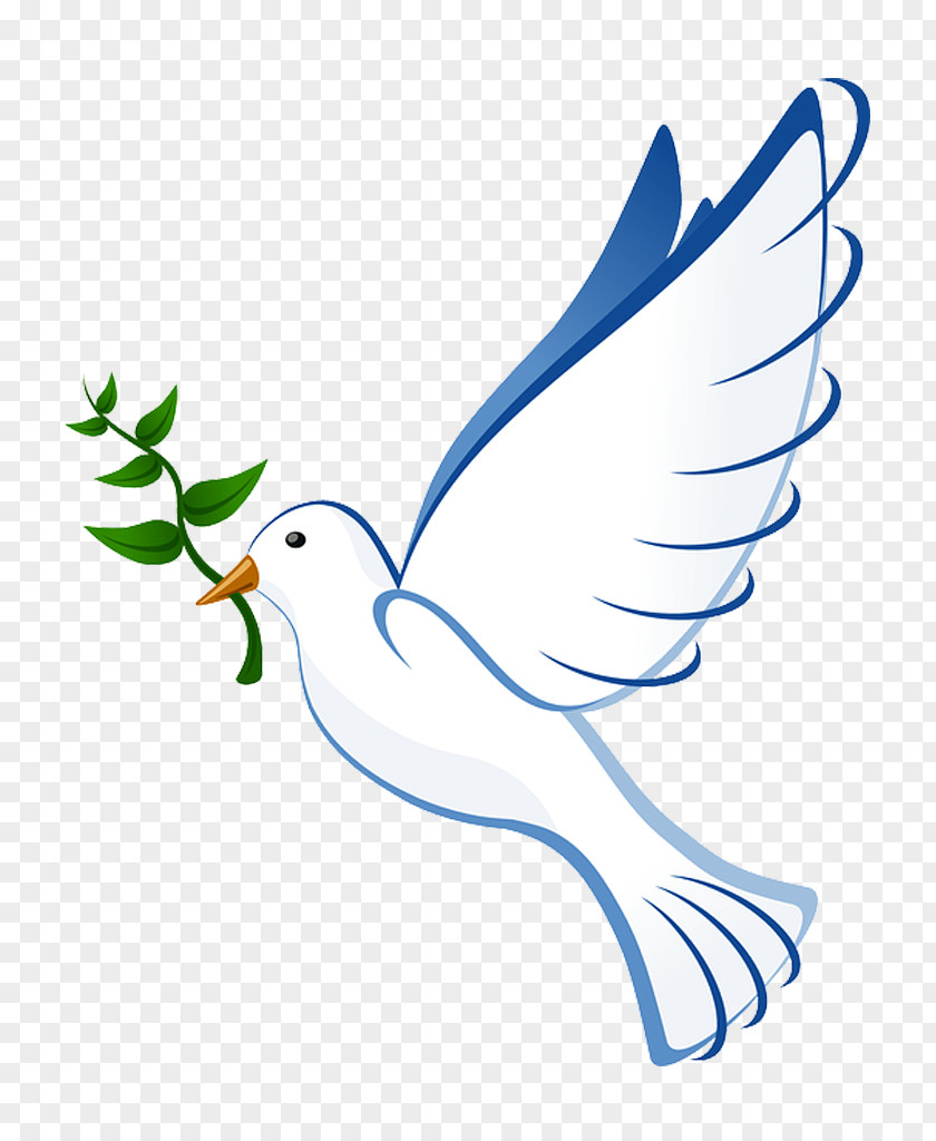Bird Columbidae Doves As Symbols Olive Branch Clip Art PNG