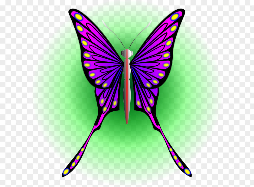 Butterfly Monarch Insect Moth Clip Art PNG