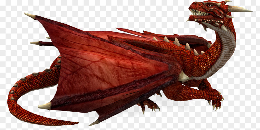 Dragon Wyvern Digital Image PNG