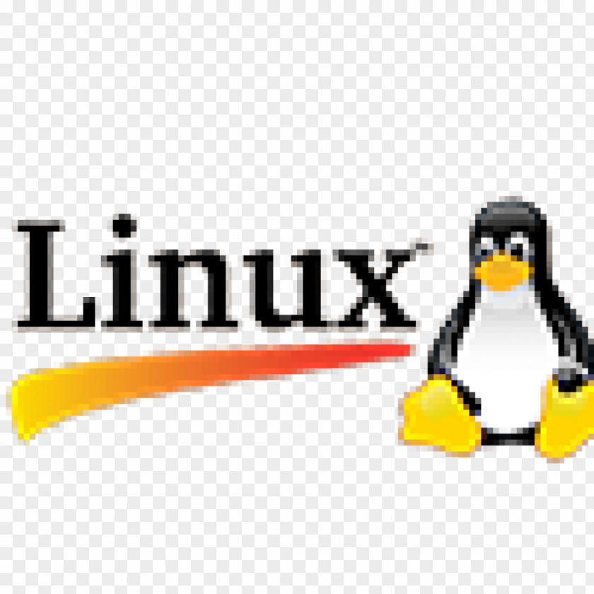Penguin Logo Product Design Brand PNG
