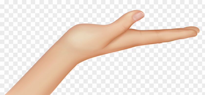 Thumb Nail Hand Model Human Leg PNG model leg, , right human hand clipart PNG