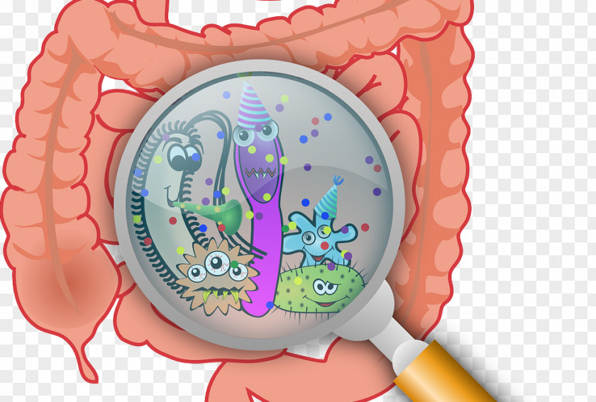 Abdominal Pain Cartoon Traveler's Diarrhea Irritable Bowel Syndrome Gastrointestinal Disease PNG