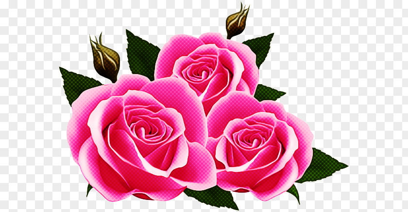 Garden Roses PNG