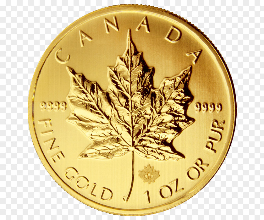 Gold Leaf Canadian Maple Bullion Coin Royal Mint PNG