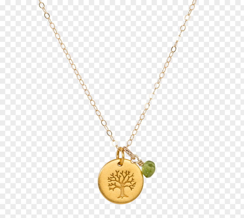 Necklace Earring Jewellery Pendant PNG