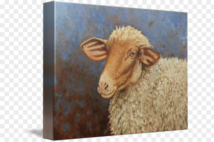 Sheep Painting Snout Jeffrey Horn PNG