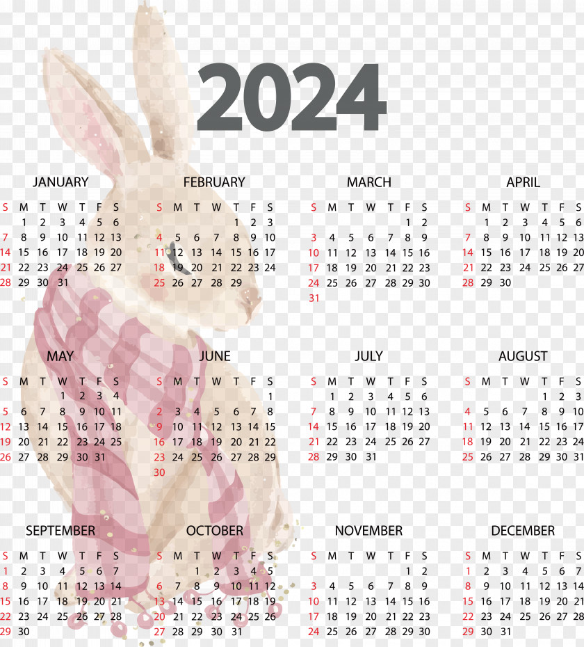 2023 New Year Calendar 2024 Names Of The Days Of The Week Week PNG