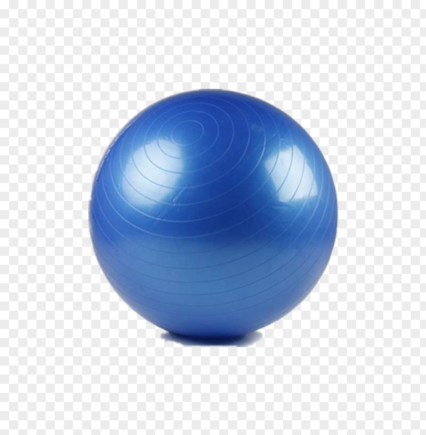 Ball Exercise Balls PNG