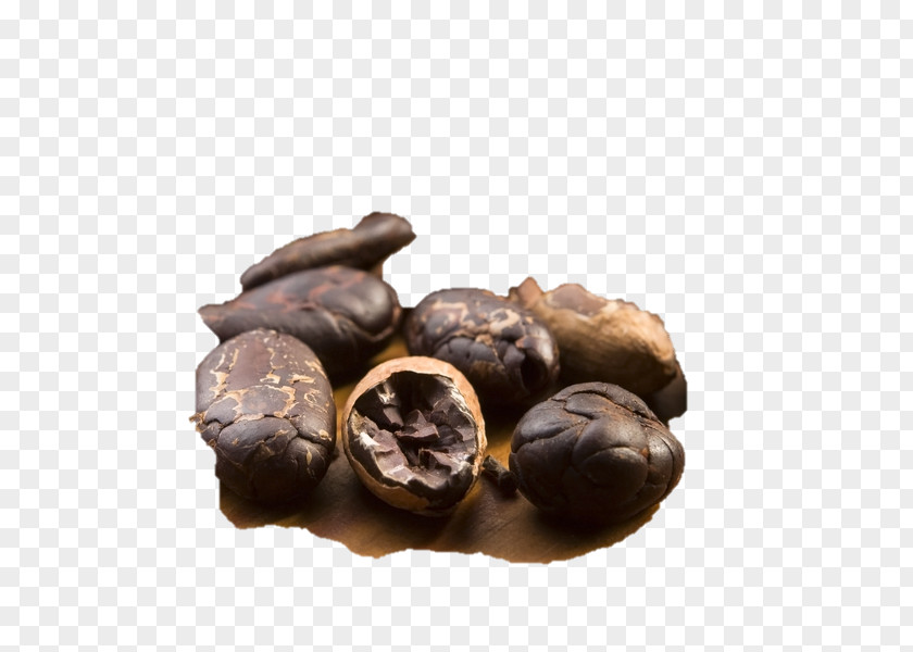 Chocolate Chocolate-coated Peanut Praline Tree Nut Allergy PNG