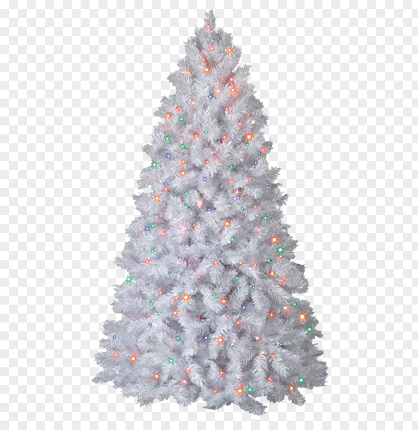 Christmas Tree New Year PNG