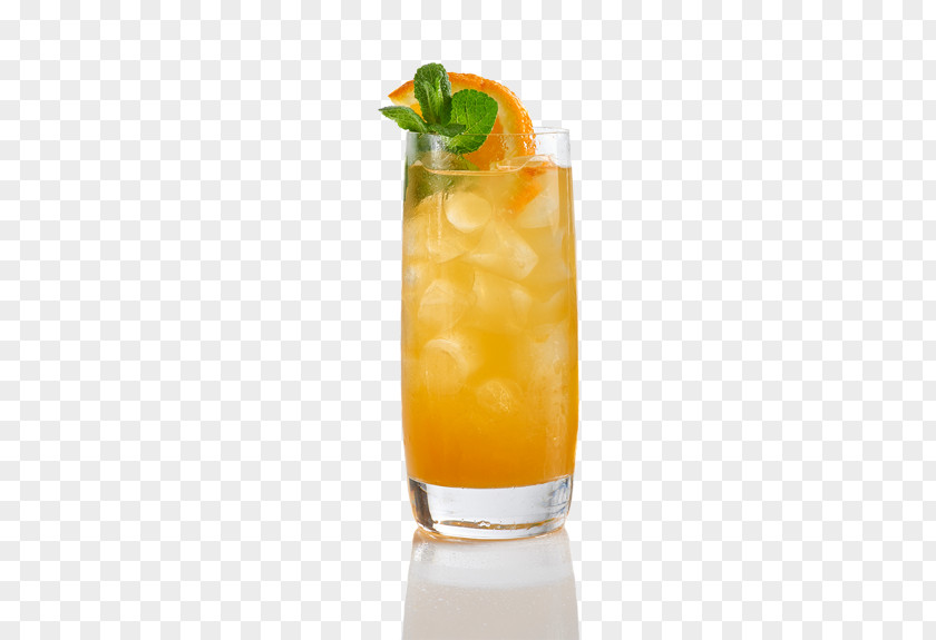 Cocktail Sea Breeze Garnish Harvey Wallbanger Mai Tai PNG