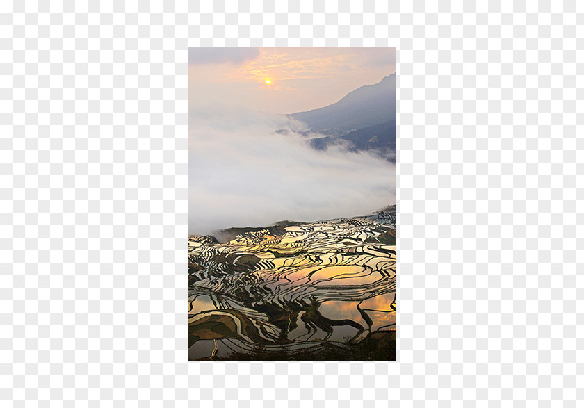 European Tourist City Landscape Elements Painting Rice Sky Plc Tillage PNG