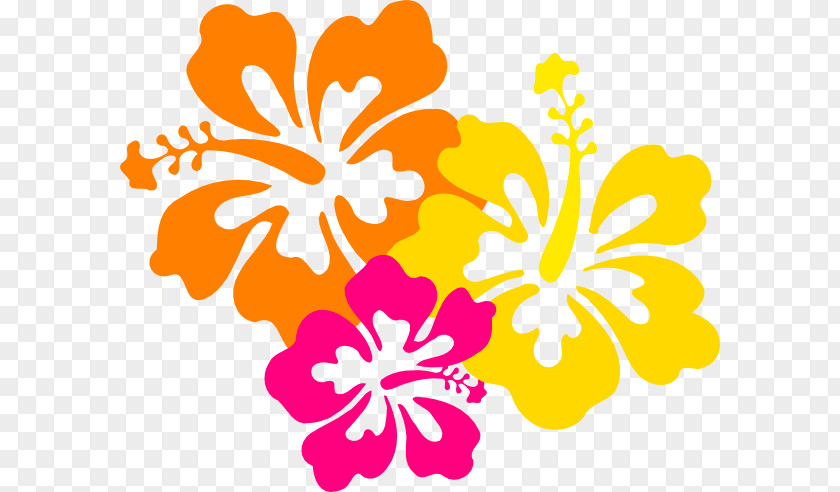Hibiscus Flower Drawings Hawaiian Clip Art PNG