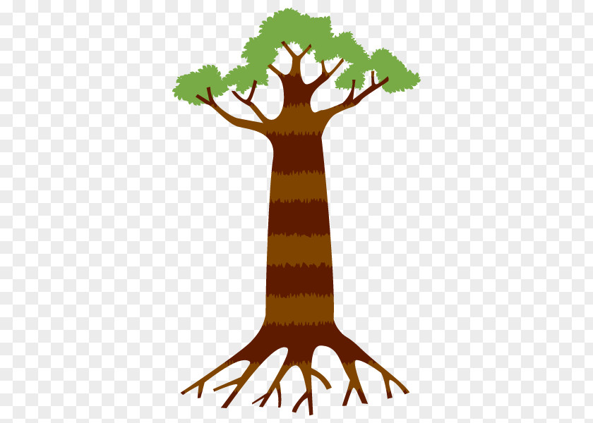 Illustration Root Plants Baobab Clip Art PNG