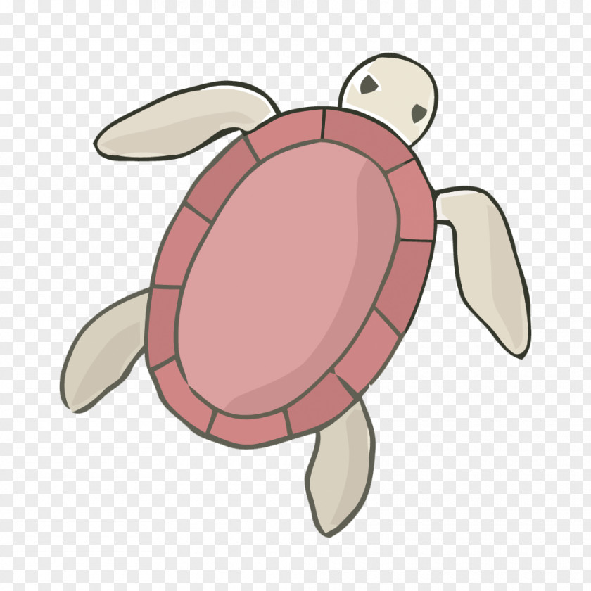 Painted Turtle Vector Material Sea Tortoise PNG
